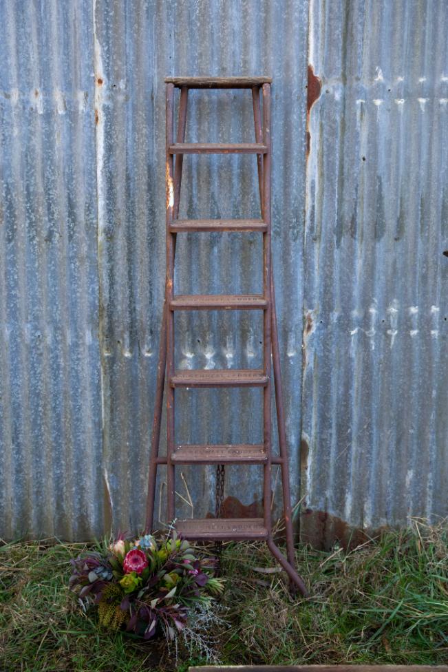A-Frame Metal Ladder
