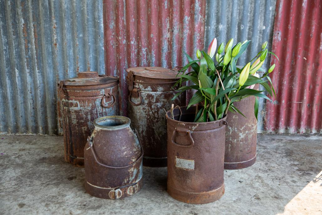 Group of milk and cream cans